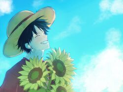 monkey d. luffy from one piece