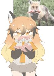 red fox (kemono friends) from kemono friends