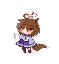 agnes tachyon (umamusume) from umamusume