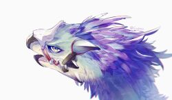 monster hunter (series) fan art