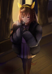 buena vista (umamusume) from umamusume by denryoku saboten