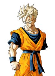 son gohan from dragon ball