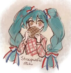 hatsune miku from vocaloid