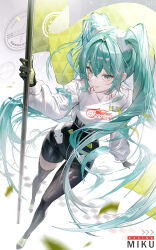 hatsune miku from vocaloid