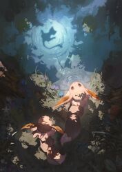 eevee from pokemon