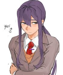 yuri (doki doki literature club) from doki doki literature club