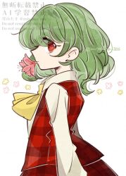 kazami yuuka from touhou by tama (hiroshige 36)