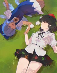 cirno from hidden star in four seasons