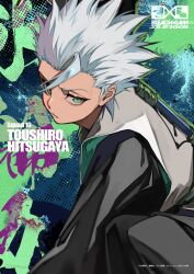hitsugaya toushirou from bleach by lam (ramdayo)