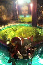 knuckles the echidna from sonic (series)