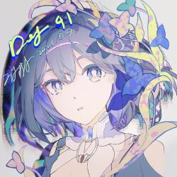 seele vollerei from honkai (series)