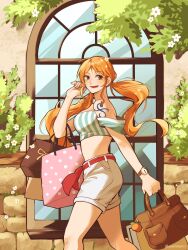 nami (one piece) from one piece