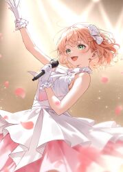 hinoshita kaho from love live!