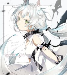 rosmontis (arknights) from arknights