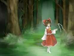 hakurei reimu from touhou