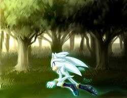 silver the hedgehog from sonic (series) by myly14