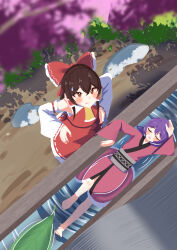hakurei reimu from touhou