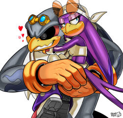storm the albatross from sonic (series)