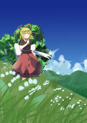 medicine melancholy from touhou