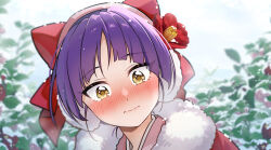 nekomusume from gegege no kitarou