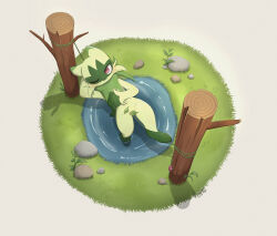 floragato from pokemon