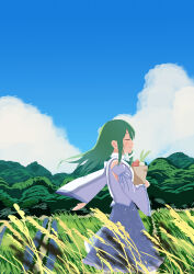 kochiya sanae from touhou