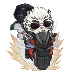 doctor (arknights) from arknights