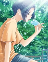 kobayakawa rinko from love plus