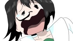 kawashima momo from girls und panzer