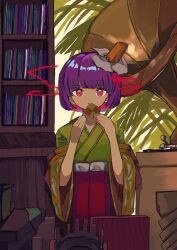 hieda no akyuu from touhou by neruzou