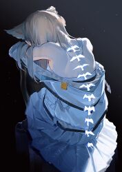perlica (arknights) from arknights
