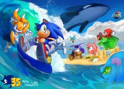 amy rose from sonic (series) by pk draws 40