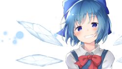 cirno from touhou by mamemochi