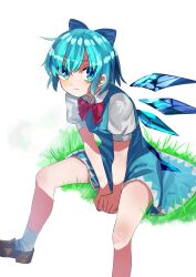 cirno from touhou
