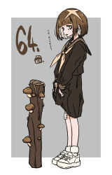 shiitake from original