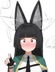 hoshimi miyabi from zenless zone zero by flasso