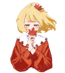 aki shizuha from touhou