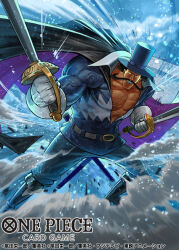vista (one piece) from one piece