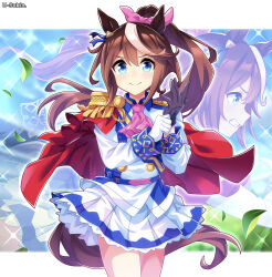 tokai teio (umamusume) from umamusume