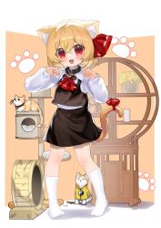 rumia from touhou