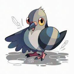 pidove from pokemon
