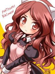 raimon natsumi from inazuma eleven