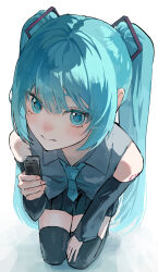 hatsune miku from vocaloid
