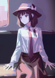 usami renko from touhou