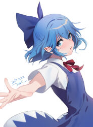 cirno from touhou by dqn (dqnww)