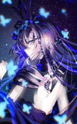 seele vollerei from honkai (series)
