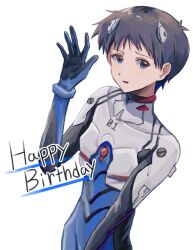 ikari shinji from neon genesis evangelion