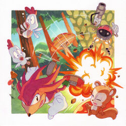 knuckles the echidna from sonic (series)
