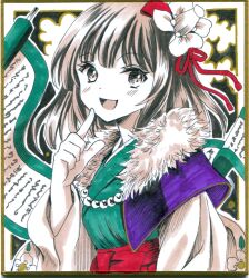 hieda no akyuu from touhou by hajike akira