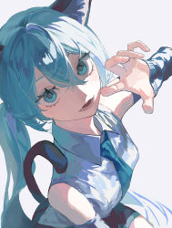hatsune miku from vocaloid